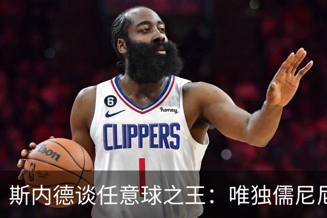 斯内德谈任意球之王：唯独儒尼尼奥令我敬佩